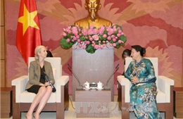 Chủ tịch Quốc hội: Việt Nam - Na Uy còn nhiều tiềm năng hợp tác